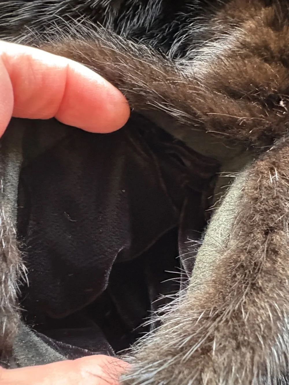 Saga Mink Brand Dark Brown/Black Mink Fur Jacket - Picture 8 of 9